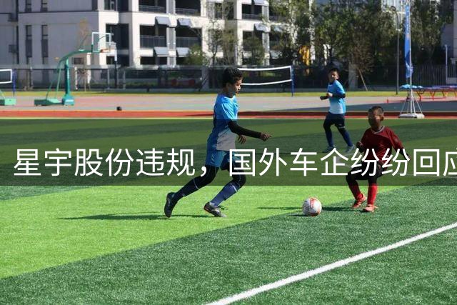 星宇股份违规，国外车企纷纷回应，唯独中国车企们一声不吭！网友：西药见效快
