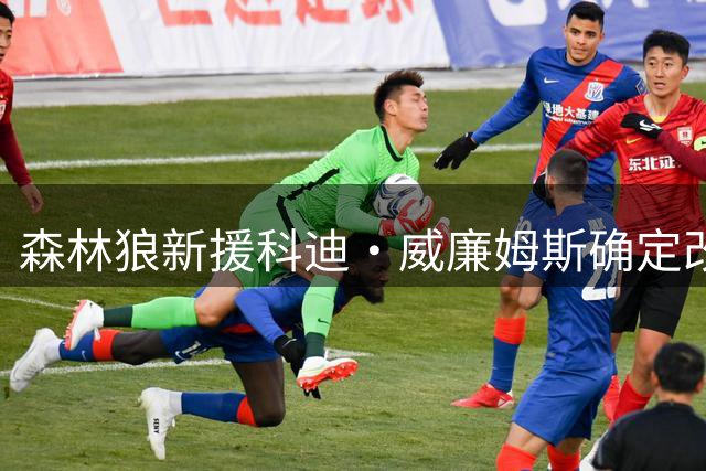 森林狼新援科迪·威廉姆斯确定改穿9号战袍